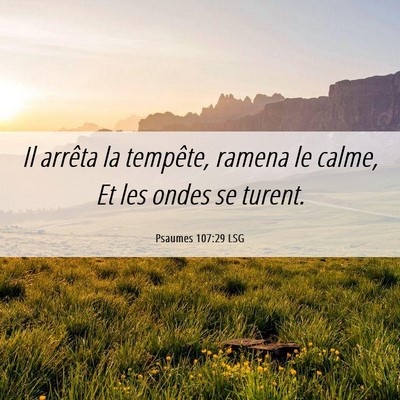 Picture 06 - Psaumes 107:29 LSG - Il arrêta la tempête, ramena le calme, Et les - Bible Verse Picture