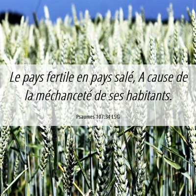 Picture 06 - Psaumes 107:34 LSG - Le pays fertile en pays salé, A cause de la - Bible Verse Picture