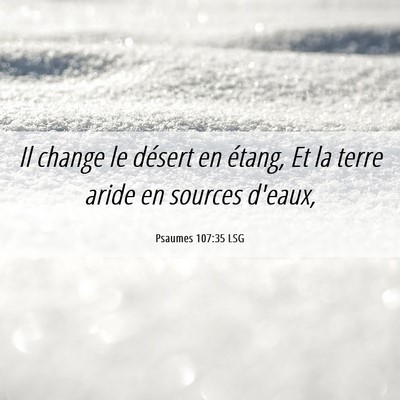 Picture 06 - Psaumes 107:35 LSG - Il change le désert en étang, Et la terre aride - Bible Verse Picture
