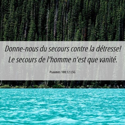 Picture 06 - Psaumes 108:12 LSG - Donne-nous du secours contre la détresse! Le - Bible Verse Picture