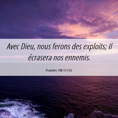 Picture 06 - Psaumes 108:13 LSG - Avec Dieu, nous ferons des exploits; Il écrasera - Bible Verse Picture
