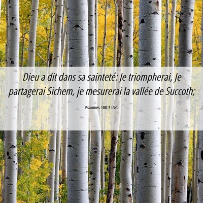 Picture 06 - Psaumes 108:7 LSG - Dieu a dit dans sa sainteté: Je triompherai, Je - Bible Verse Picture