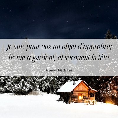 Picture 06 - Psaumes 109:25 LSG - Je suis pour eux un objet d'opprobre; Ils me - Bible Verse Picture