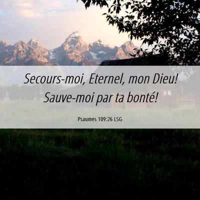 Picture 06 - Psaumes 109:26 LSG - Secours-moi, Eternel, mon Dieu! Sauve-moi par ta - Bible Verse Picture