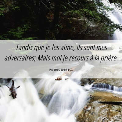 Picture 06 - Psaumes 109:4 LSG - Tandis que je les aime, ils sont mes adversaires; - Bible Verse Picture