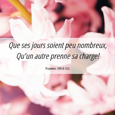 Picture 06 - Psaumes 109:8 LSG - Que ses jours soient peu nombreux, Qu'un autre - Bible Verse Picture