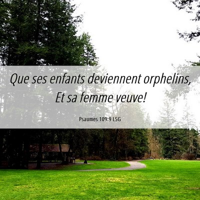 Picture 06 - Psaumes 109:9 LSG - Que ses enfants deviennent orphelins, Et sa femme - Bible Verse Picture