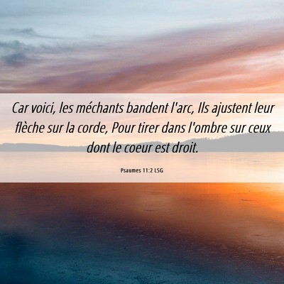 Picture 06 - Psaumes 11:2 LSG - Car voici, les méchants bandent l'arc, Ils - Bible Verse Picture