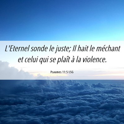 Picture 06 - Psaumes 11:5 LSG - L'Eternel sonde le juste; Il hait le méchant et - Bible Verse Picture