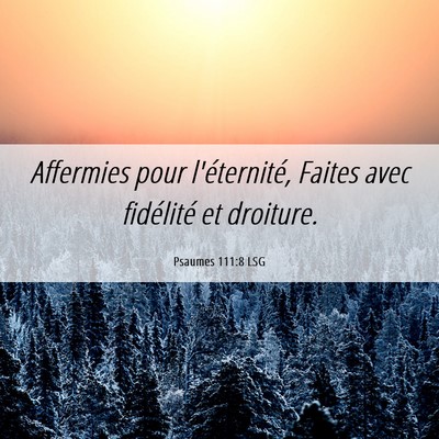 Picture 06 - Psaumes 111:8 LSG - Affermies pour l'éternité, Faites avec - Bible Verse Picture