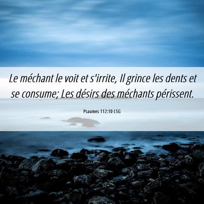 Picture 06 - Psaumes 112:10 LSG - Le méchant le voit et s'irrite, Il grince les - Bible Verse Picture