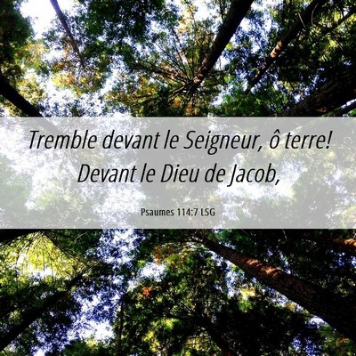 Picture 06 - Psaumes 114:7 LSG - Tremble devant le Seigneur, ô terre! Devant le - Bible Verse Picture