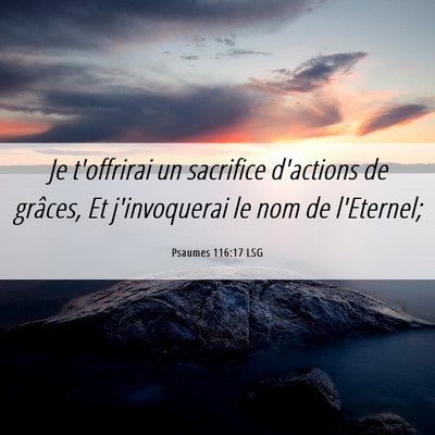 Picture 06 - Psaumes 116:17 LSG - Je t'offrirai un sacrifice d'actions de grâces, - Bible Verse Picture
