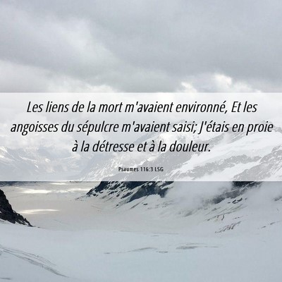 Picture 06 - Psaumes 116:3 LSG - Les liens de la mort m'avaient environné, Et les - Bible Verse Picture