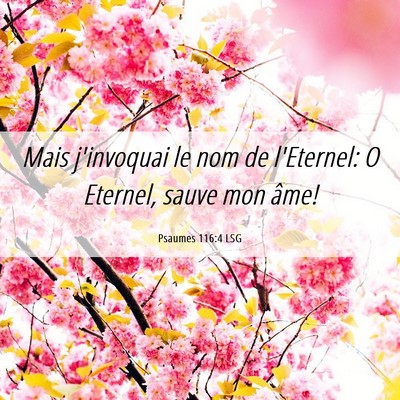 Picture 06 - Psaumes 116:4 LSG - Mais j'invoquai le nom de l'Eternel: O Eternel, - Bible Verse Picture