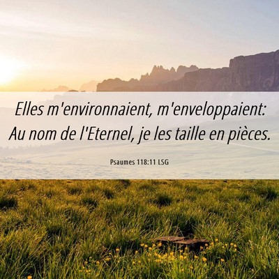 Picture 06 - Psaumes 118:11 LSG - Elles m'environnaient, m'enveloppaient: Au nom de - Bible Verse Picture