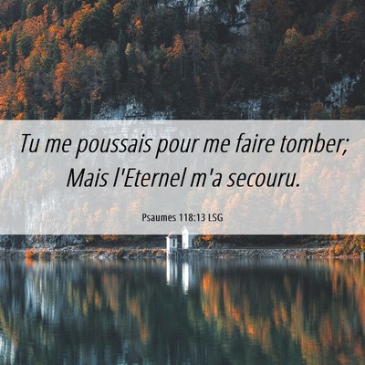 Picture 06 - Psaumes 118:13 LSG - Tu me poussais pour me faire tomber; Mais - Bible Verse Picture