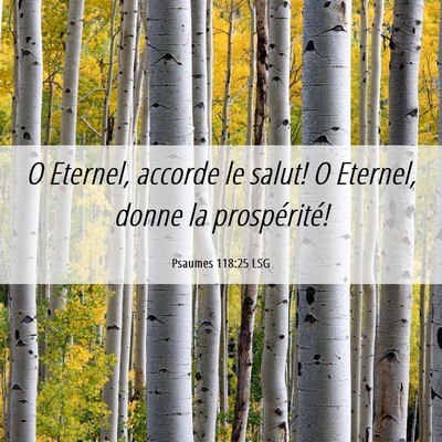 Picture 06 - Psaumes 118:25 LSG - O Eternel, accorde le salut! O Eternel, donne la - Bible Verse Picture