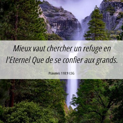 Picture 06 - Psaumes 118:9 LSG - Mieux vaut chercher un refuge en l'Eternel Que de - Bible Verse Picture