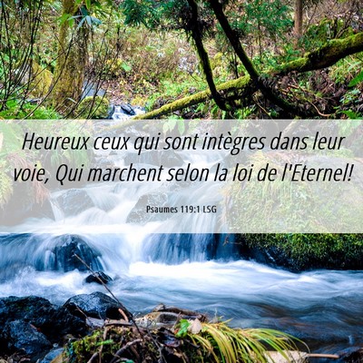 Picture 06 - Psaumes 119:1 LSG - Heureux ceux qui sont intègres dans leur voie, - Bible Verse Picture