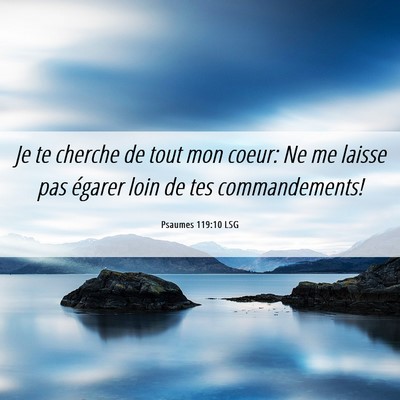 Picture 06 - Psaumes 119:10 LSG - Je te cherche de tout mon coeur: Ne me laisse pas - Bible Verse Picture