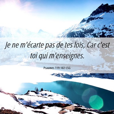 Picture 06 - Psaumes 119:102 LSG - Je ne m'écarte pas de tes lois, Car c'est toi - Bible Verse Picture