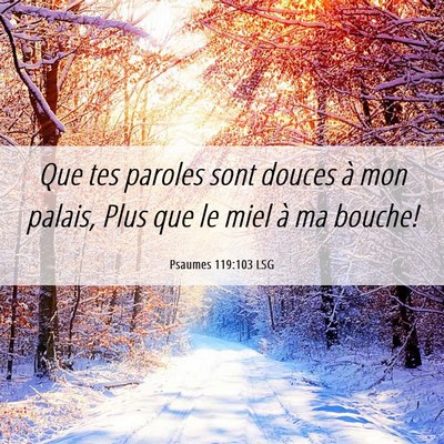 Picture 06 - Psaumes 119:103 LSG - Que tes paroles sont douces à mon palais, Plus - Bible Verse Picture