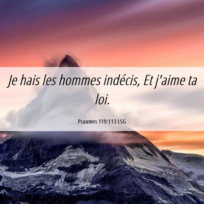 Picture 06 - Psaumes 119:113 LSG - Je hais les hommes indécis, Et j'aime ta - Bible Verse Picture