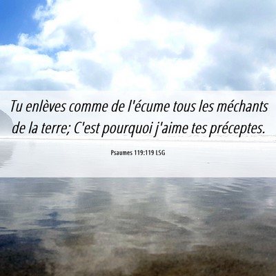 Picture 06 - Psaumes 119:119 LSG - Tu enlèves comme de l'écume tous les méchants - Bible Verse Picture