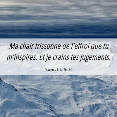 Picture 06 - Psaumes 119:120 LSG - Ma chair frissonne de l'effroi que tu m'inspires, - Bible Verse Picture