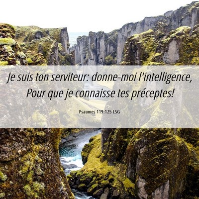 Picture 06 - Psaumes 119:125 LSG - Je suis ton serviteur: donne-moi l'intelligence, - Bible Verse Picture