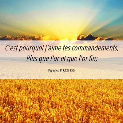 Picture 06 - Psaumes 119:127 LSG - C'est pourquoi j'aime tes commandements, Plus que - Bible Verse Picture