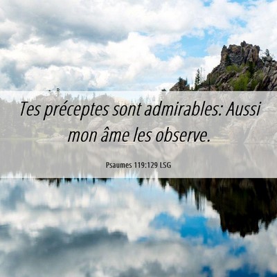 Picture 06 - Psaumes 119:129 LSG - Tes préceptes sont admirables: Aussi mon âme - Bible Verse Picture