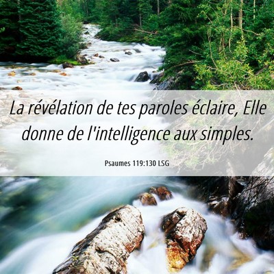 Picture 06 - Psaumes 119:130 LSG - La révélation de tes paroles éclaire, Elle - Bible Verse Picture