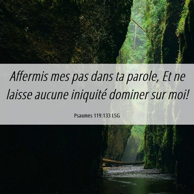Picture 06 - Psaumes 119:133 LSG - Affermis mes pas dans ta parole, Et ne laisse - Bible Verse Picture