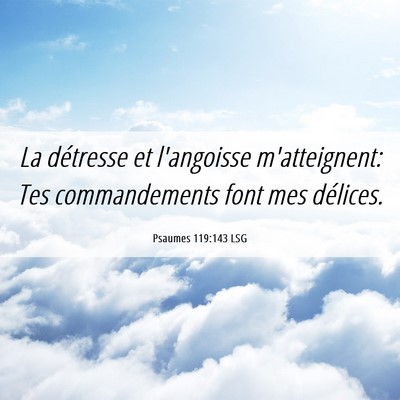 Picture 06 - Psaumes 119:143 LSG - La détresse et l'angoisse m'atteignent: Tes - Bible Verse Picture