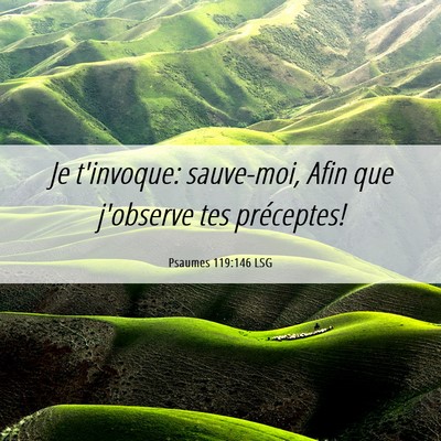 Picture 06 - Psaumes 119:146 LSG - Je t'invoque: sauve-moi, Afin que j'observe tes - Bible Verse Picture