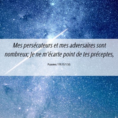 Picture 06 - Psaumes 119:157 LSG - Mes persécuteurs et mes adversaires sont - Bible Verse Picture