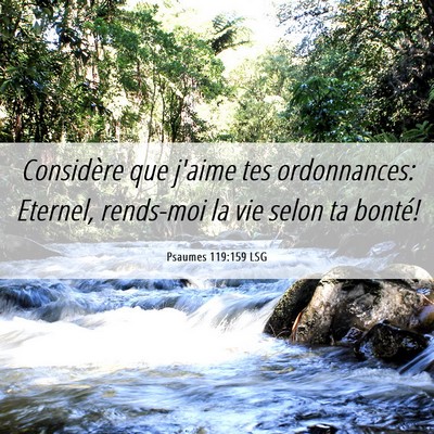 Picture 06 - Psaumes 119:159 LSG - Considère que j'aime tes ordonnances: Eternel, - Bible Verse Picture