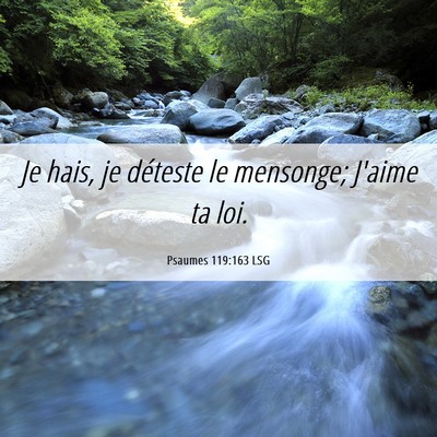 Picture 06 - Psaumes 119:163 LSG - Je hais, je déteste le mensonge; J'aime ta - Bible Verse Picture