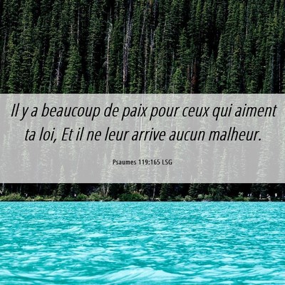 Picture 06 - Psaumes 119:165 LSG - Il y a beaucoup de paix pour ceux qui aiment ta - Bible Verse Picture