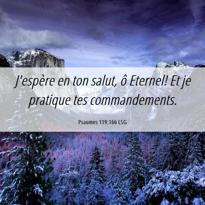 Picture 06 - Psaumes 119:166 LSG - J'espère en ton salut, ô Eternel! Et je - Bible Verse Picture