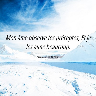 Picture 06 - Psaumes 119:167 LSG - Mon âme observe tes préceptes, Et je les aime - Bible Verse Picture
