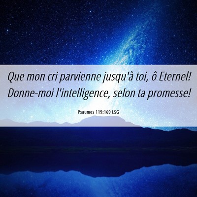 Picture 06 - Psaumes 119:169 LSG - Que mon cri parvienne jusqu'à toi, ô Eternel! - Bible Verse Picture