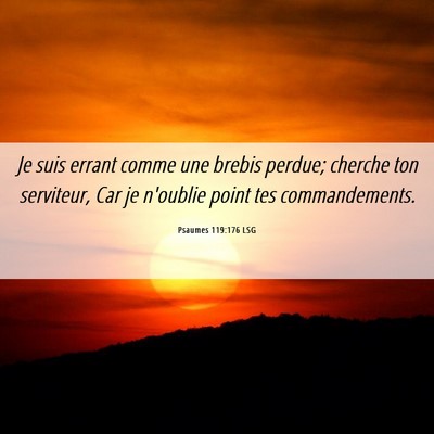 Picture 06 - Psaumes 119:176 LSG - Je suis errant comme une brebis perdue; cherche - Bible Verse Picture