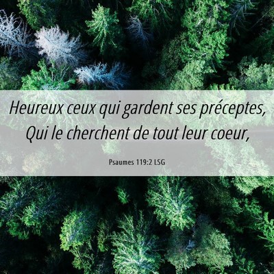 Picture 06 - Psaumes 119:2 LSG - Heureux ceux qui gardent ses préceptes, Qui le - Bible Verse Picture