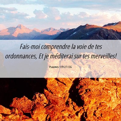 Picture 06 - Psaumes 119:27 LSG - Fais-moi comprendre la voie de tes ordonnances, - Bible Verse Picture