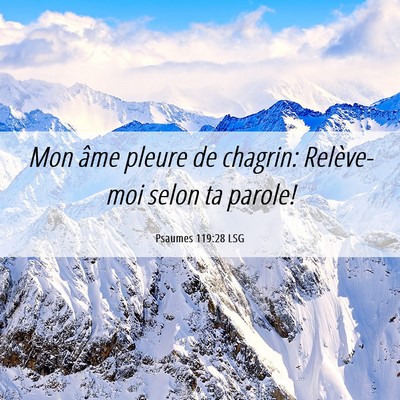 Picture 06 - Psaumes 119:28 LSG - Mon âme pleure de chagrin: Relève-moi selon ta - Bible Verse Picture