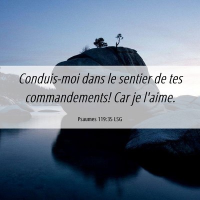 Picture 06 - Psaumes 119:35 LSG - Conduis-moi dans le sentier de tes commandements! - Bible Verse Picture
