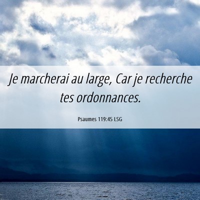 Picture 06 - Psaumes 119:45 LSG - Je marcherai au large, Car je recherche tes - Bible Verse Picture